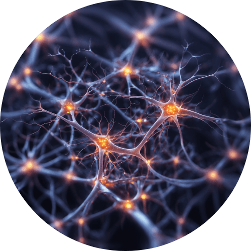 Vagus Nerve
